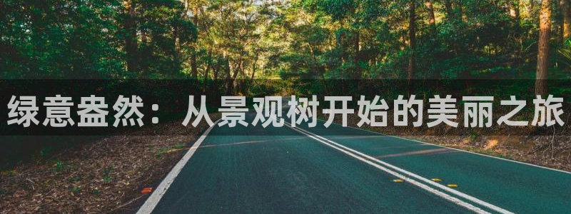 卧龙娱乐能出款吗
