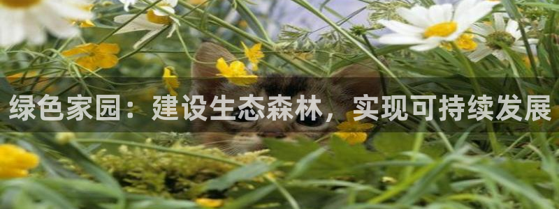 fans娱乐卧龙凤雏