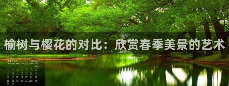 卧龙娱乐招商代理怎么样：榆树与樱花的对比：欣赏春季美景的艺术