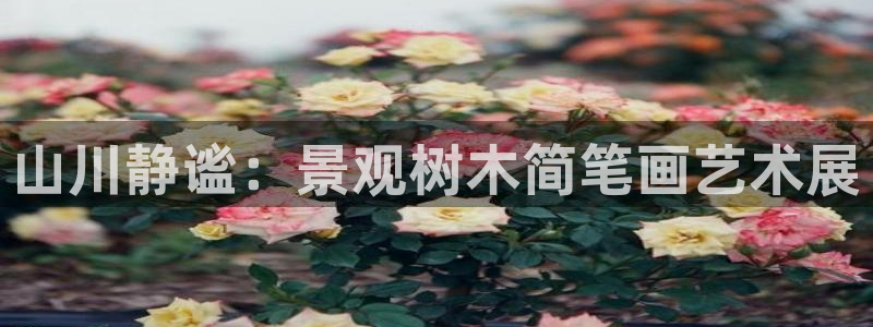 南阳卧龙娱乐厂招聘