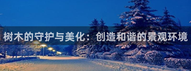 卧龙区维也纳娱乐会所