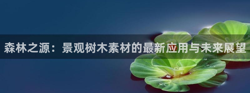 卧龙娱乐是什么意思