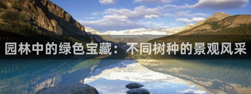 卧龙桥休闲娱乐园:园林中的绿色宝藏:不同树种的景观风采