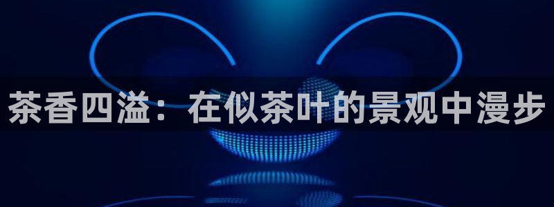 卧龙区娱乐会所