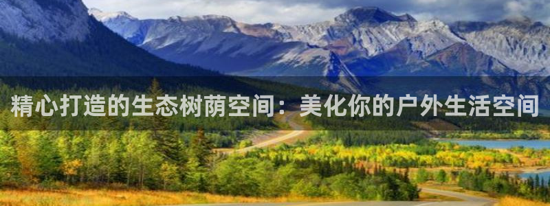 卧龙儿童娱乐海洋球