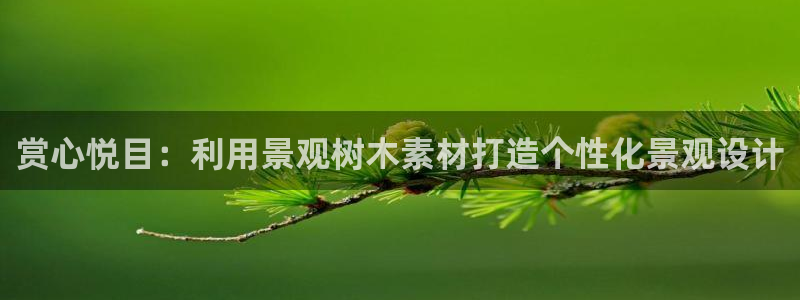 卧龙娱乐怎么样啊