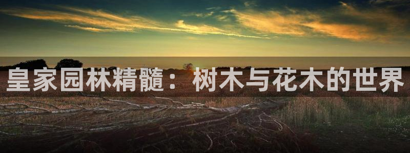 卧龙凤雏娱乐 小辣椒