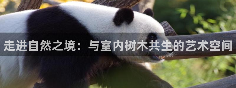 卧龙娱乐32二九01